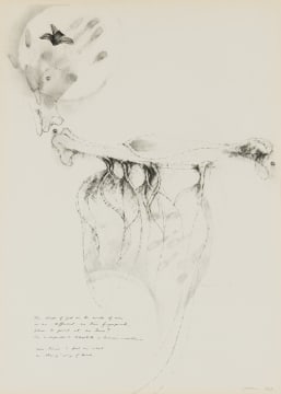 Judith Mason; The Shape of God
