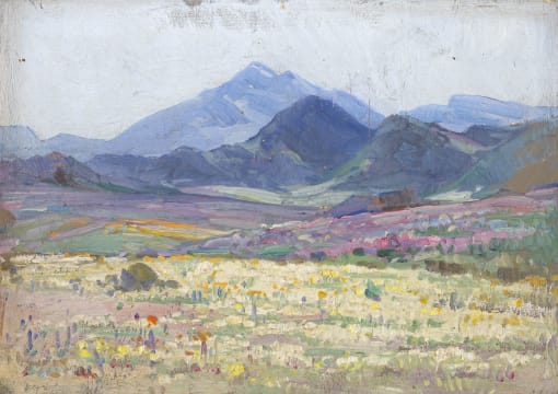 Hugo Naudé; Namaqualand