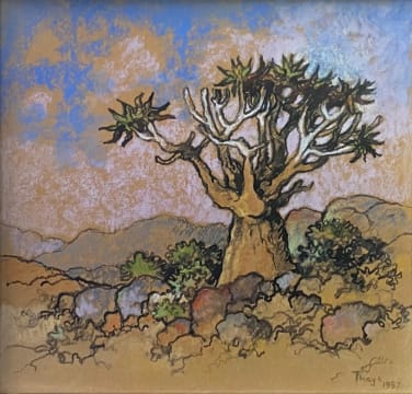 Conrad Theys; Kokerboom