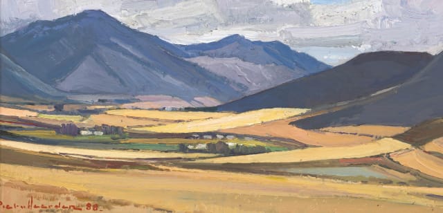 Piet van Heerden; Landscape