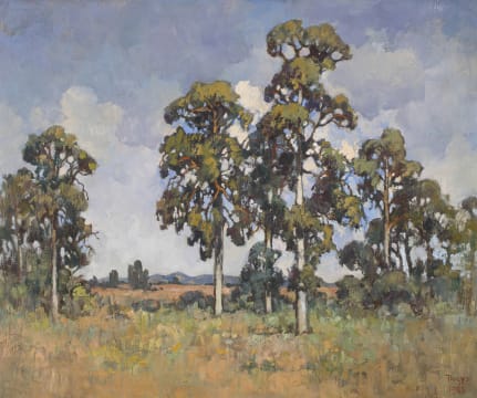 Conrad Theys; Swartland Bloekoms