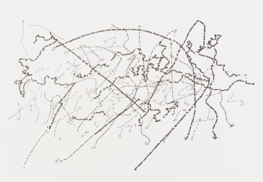 Willem Boshoff; Intercourse