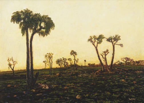 Walter Meyer; Near Pretoria