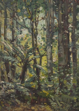 Hugo Naudé; Knysna Forest