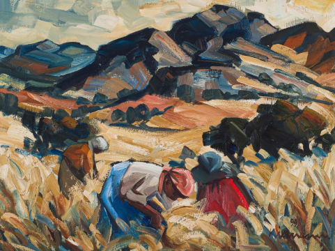 Hennie Niemann Snr; Harvesting Wheat