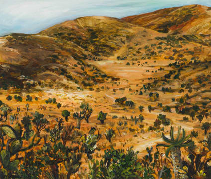Jacqueline Griffin-Jones; Eastern Cape Landscape