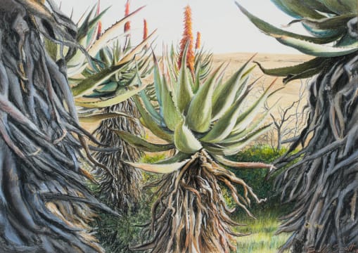 Sally Scott; Afternoon Light