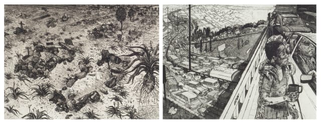 Diane Victor; Hypoxis Rooperi (sic); Blind Rise, two