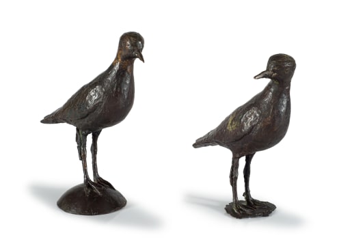 Guy du Toit; Lapwings, two