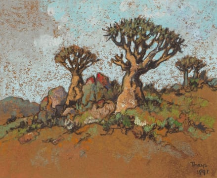 Conrad Theys; Kokerbome