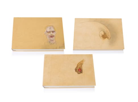 Judith Mason, Ettienne Koekemoer and Daniël Jansen van Vuuren; Walking With and Away from Dante, Artist's Books and Assemblage