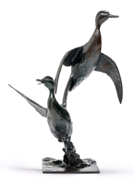 Dylan Lewis; Rising Red-Billed Teal, Brace I