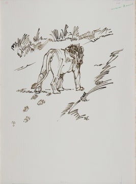 Zakkie Eloff; Male Lion