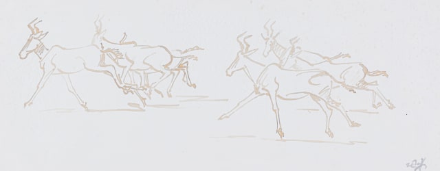 Zakkie Eloff; Herd of Red Hartebeest