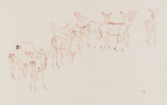 Zakkie Eloff; Herd of Impala