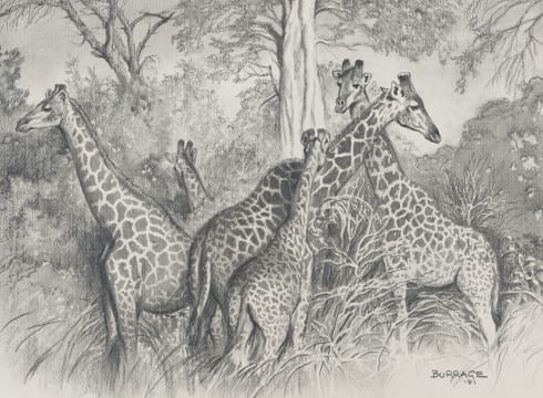 Ben (Leslie Thomas) Burrage; Family Gathering – Kruger Park