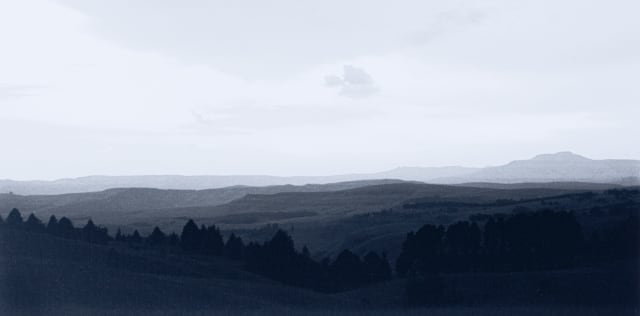 Rob Mills; Extensive Landscape