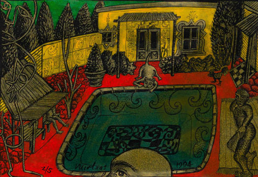 Nicolaas Maritz; Backyard with Pool