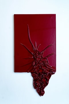 Aneesah Girie; Re-flection