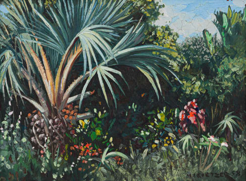 Willem Hermanus Coetzer; Tropical Garden Scene