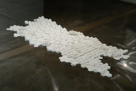 Michele Rolstone; Bone Fields (Elysium)