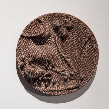 Nindya Bucktowar; Terra 1