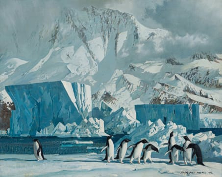 Keith Shackleton; Cape Hallett