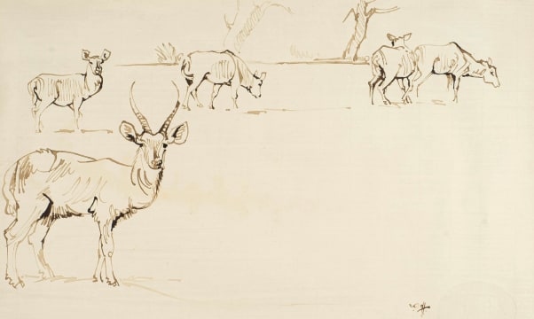Zakkie Eloff; Five Waterbuck