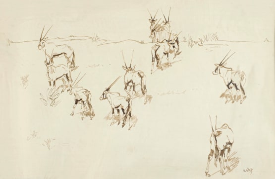 Zakkie Eloff; Gemsbok