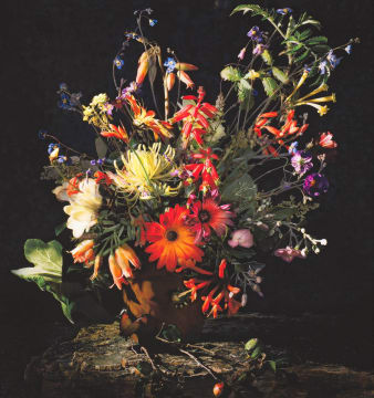 Andrew Putter; Detail of a sketch for Flora Capensis