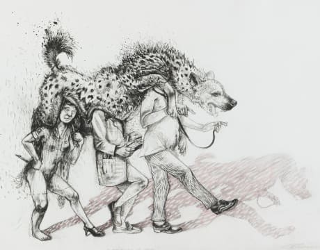 Diane Victor; A Hyaena Skin of Doctors