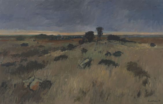Eben van der Merwe; Landscape