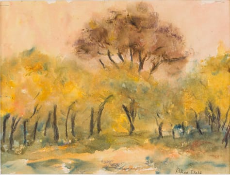 Alice Elahi; Bushveld Sunset