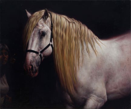 Jaco van Schalkwyk; Dominatrix