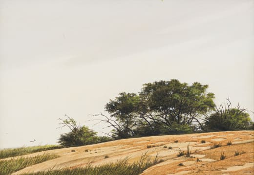 John Meyer; Landscape with Trees