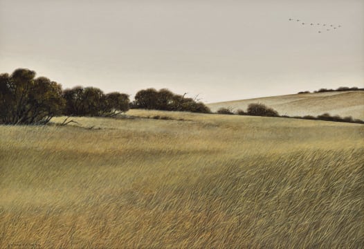 John Meyer; Migrating