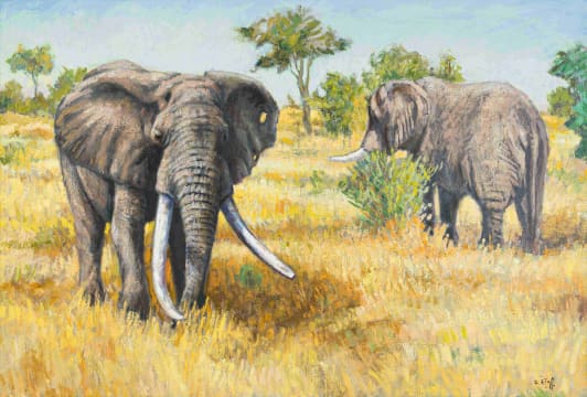 Zakkie Eloff; Phelwana, Kruger National Park