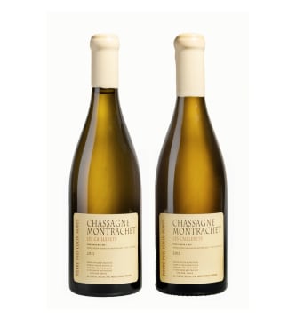 Pierre-Yves Colin-Morey; Chassagne Montrachet 1er Cru Les Caillerets; 2011; 2 (1 x 2); 750ml