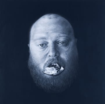 Henk Serfontein; Purging Paul Kruger (Pierneef Deconstructed) II