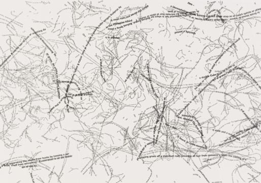Willem Boshoff; Culmicolous