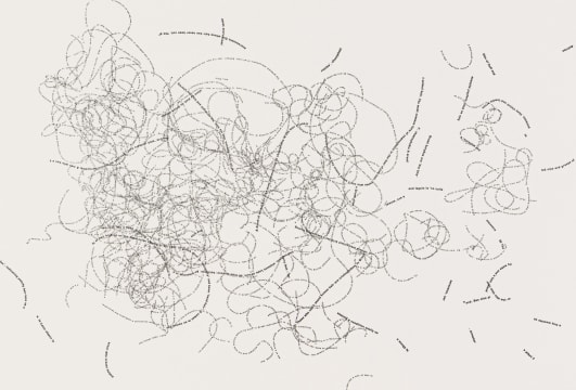 Willem Boshoff; Pogonophobia