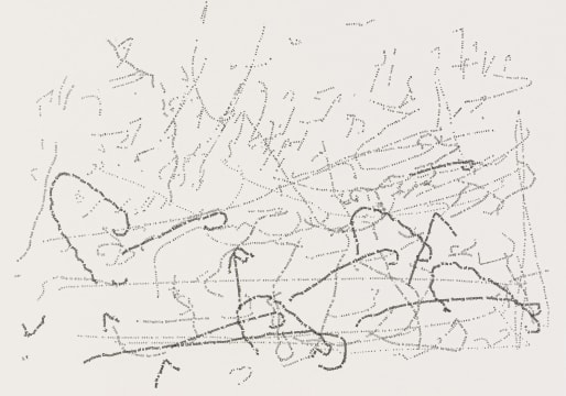 Willem Boshoff; Amychesis