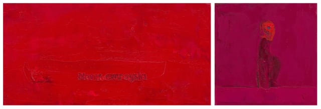 Penny Siopis; Skirmish: Never, Ever Again, diptych