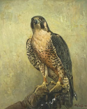 Heinrich von Michaelis; Hunting Peregrine with Anklets on a Glove