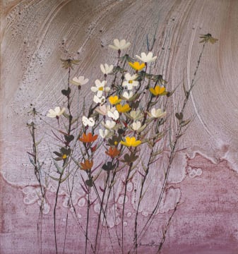 George Boys; Cosmos