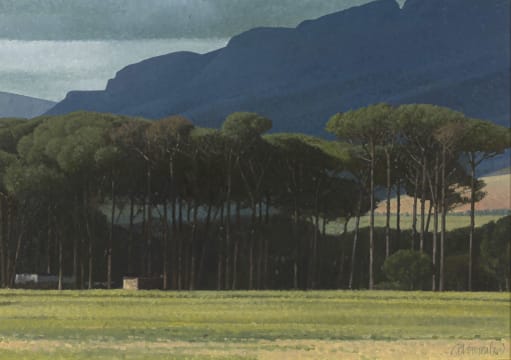 Daan Vermeulen; Stellenbosch Pines