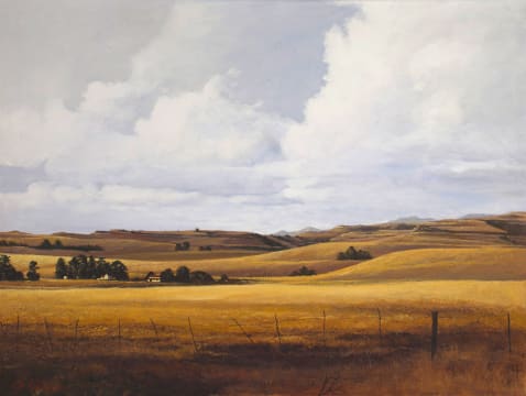 Hannes du Plessis; Winter Landscape near Middelburg