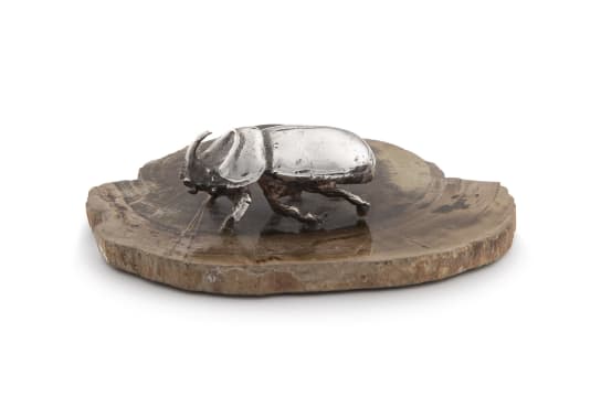 A silver rhinocerus beetle, apparently unmarked