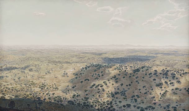 Neil Rodger; View to the Coast, Eastern Cape