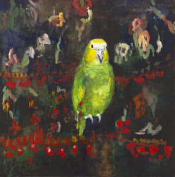 Katrine Claassens; Twitter Rescue Bird ('After' Photograph)